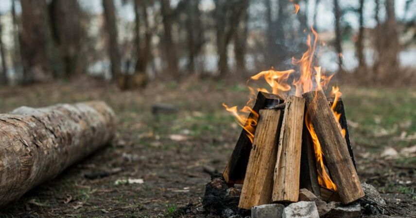 МЧС усилит контроль в Пинском районе: противопожарные рейды начнутся 6 сентября