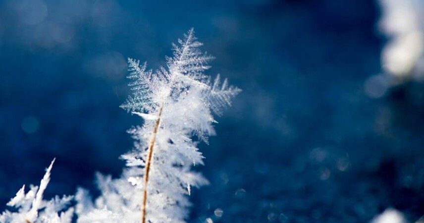 Ночные морозы и гололедица: какой будет погода 8-9 февраля в Беларуси