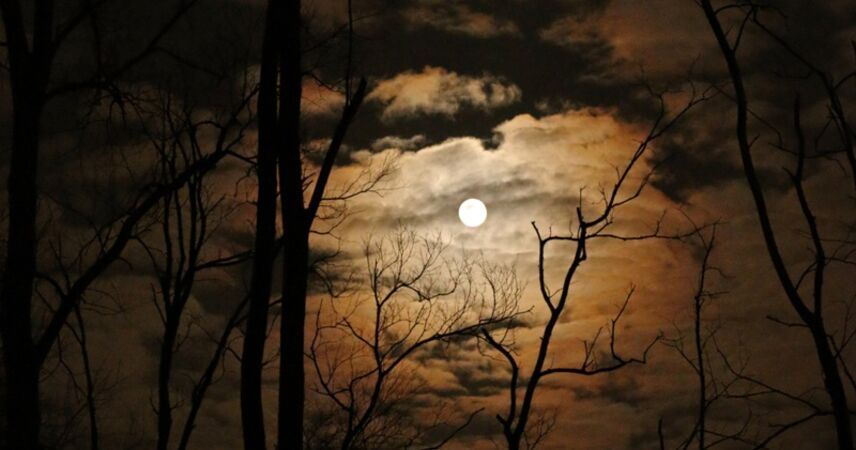 Когда ждать Клубничную Луну в июне 2025 года?