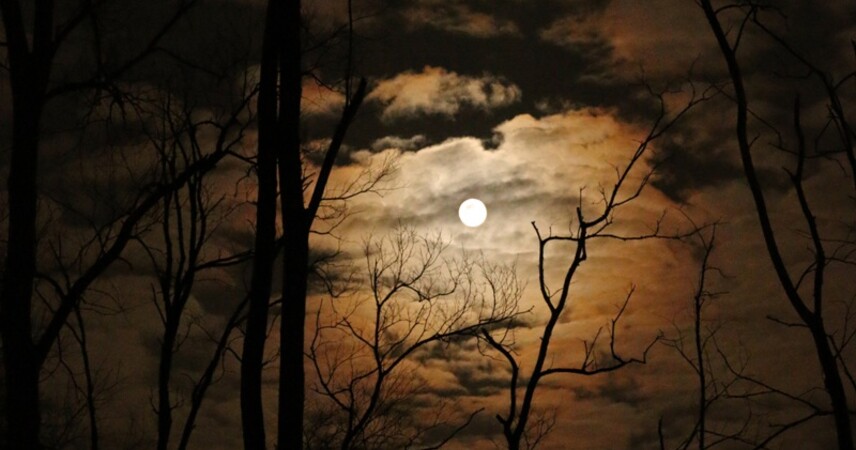 Когда ждать Клубничную Луну в июне 2025 года?