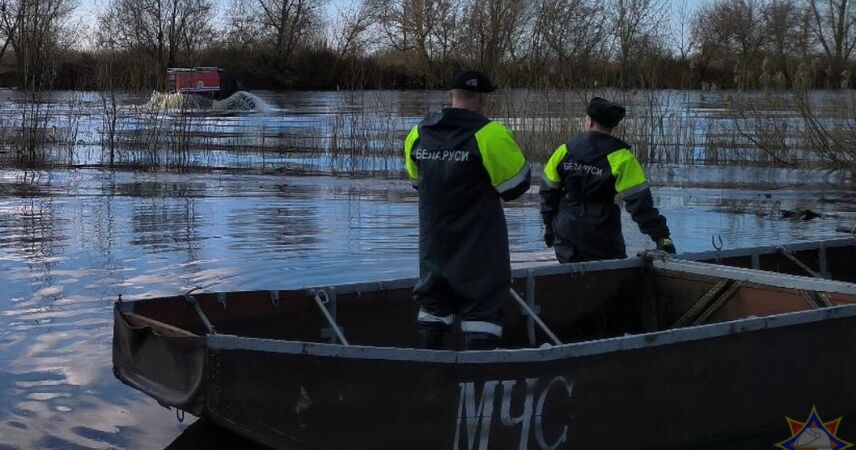 В Пинске в реке Припять утонул пенсионер