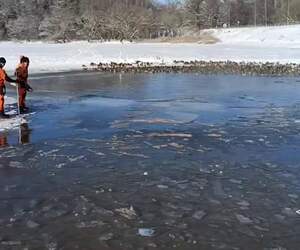 Посмотрите, как работники МЧС спасают пернатых из ледяного плена