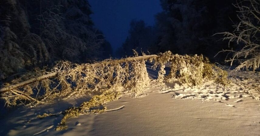 Последствия непогоды устраняли сотрудники МЧС в Брестской области