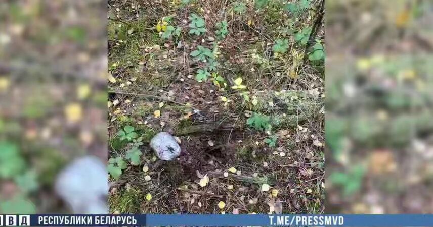 В Брестском районе задержана пинчанка с килограммом Альфа-PVP