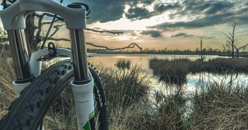 В Пинском районе 10 сентября пройдет велопробег Кольцо Днепро-Буга