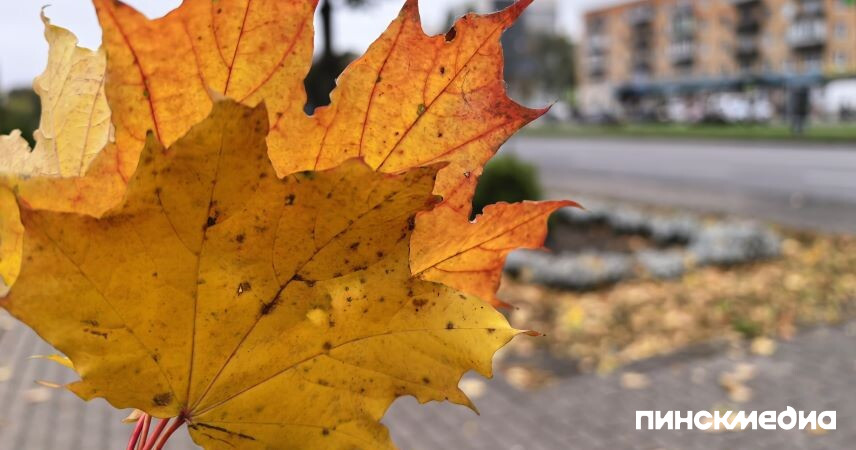 Республиканская акция «За безопасность вместе» пройдет в Беларуси с 25 октября по 2 ноября