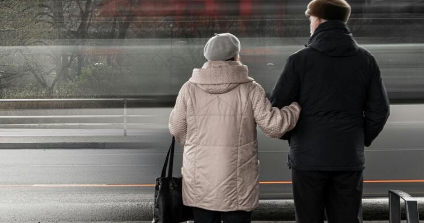 Как формируется страховой стаж и где его проверить в Беларуси?