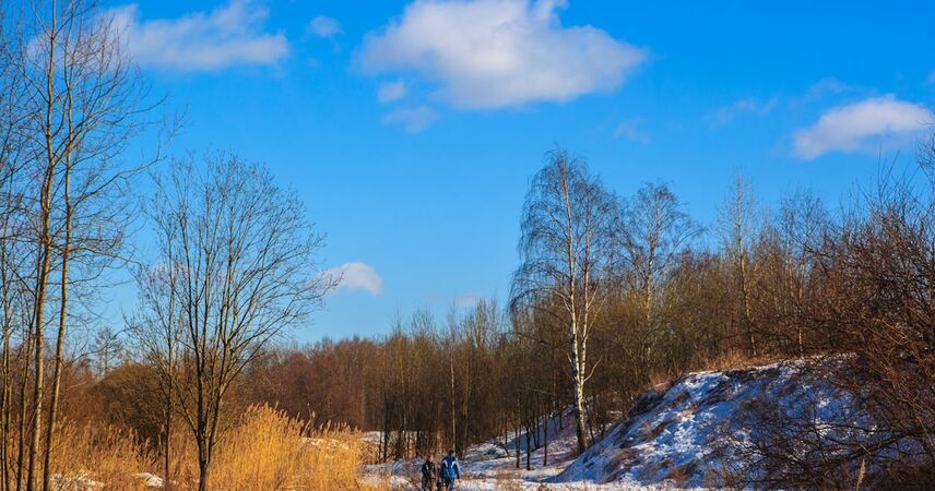 Солнечные рекорды Беларуси:  какой город самый солнечный в стране?