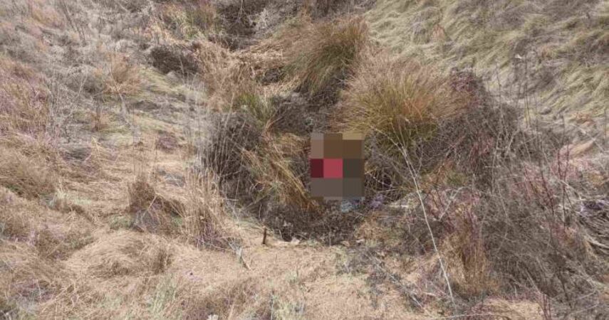 В Пинском районе в мелиоративном канале найдено тело женщины