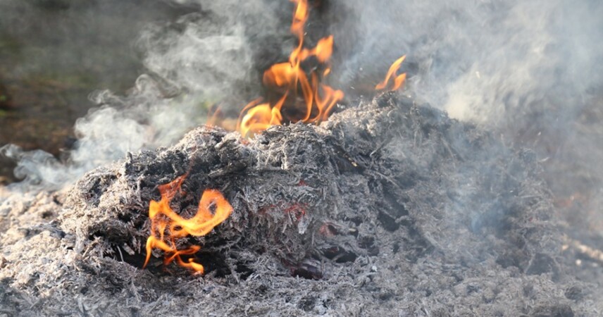 Пинский район: на выгоревшем участке земли обнаружен погибший мужчина