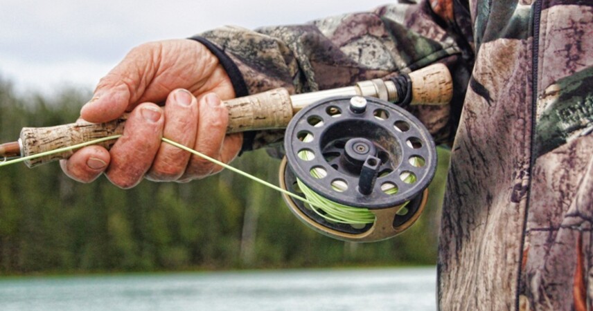 Запрет на ловлю судака в Беларуси начал действовать 15 апреля