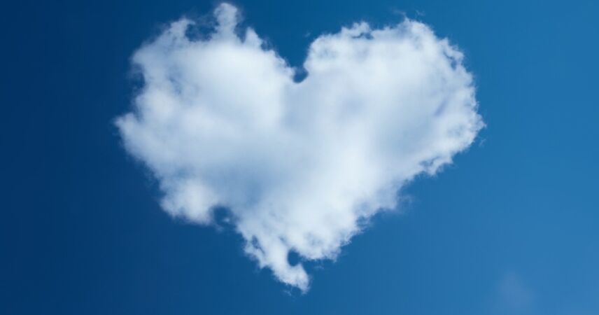 Донорство в Беларуси: какие гарантии и компенсации есть у работников?