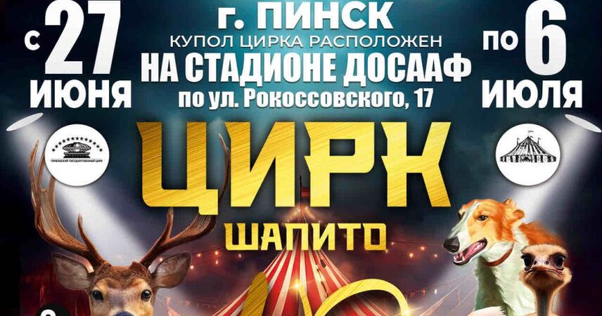 В Пинске 27 июня — премьера шапито-шоу «13 Метров» и Гомельского государственного цирка