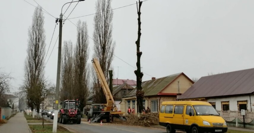 В Пинске на улице Карла Маркса убирают аварийные деревья