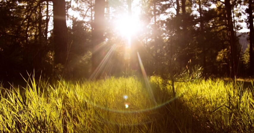 До +32°С: оранжевый уровень из-за жары объявлен на 29 августа в двух областях Беларуси