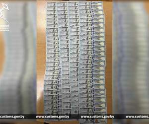 Двое граждан Украины пытались скрыть от таможни по 78 тысяч долларов