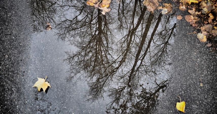 Оранжевый уровень из-за сильных осадков объявлен на 18 ноября