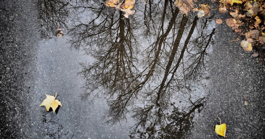 Оранжевый уровень из-за сильных осадков объявлен на 18 ноября