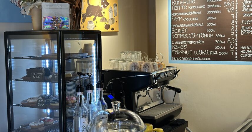 Пушистое счастье в Пинске: добро пожаловать в «Котофейню»