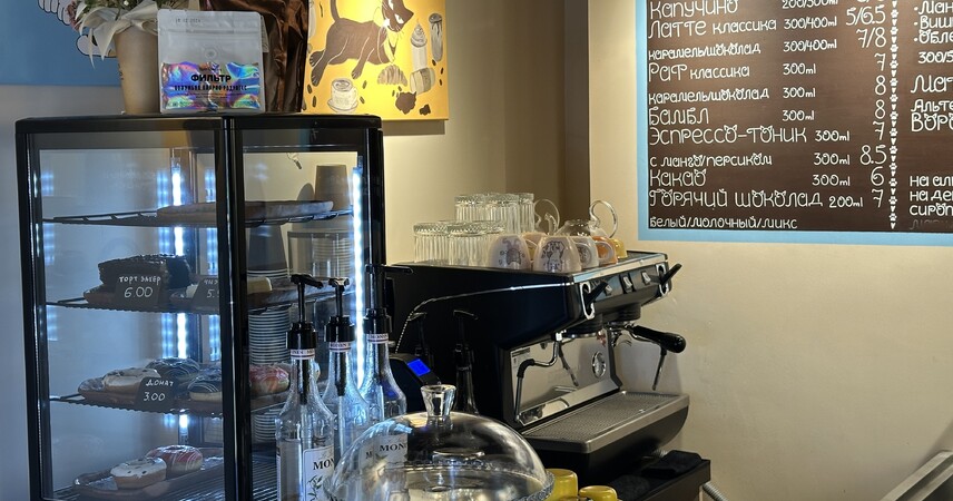 Пушистое счастье в Пинске: добро пожаловать в «Котофейню»