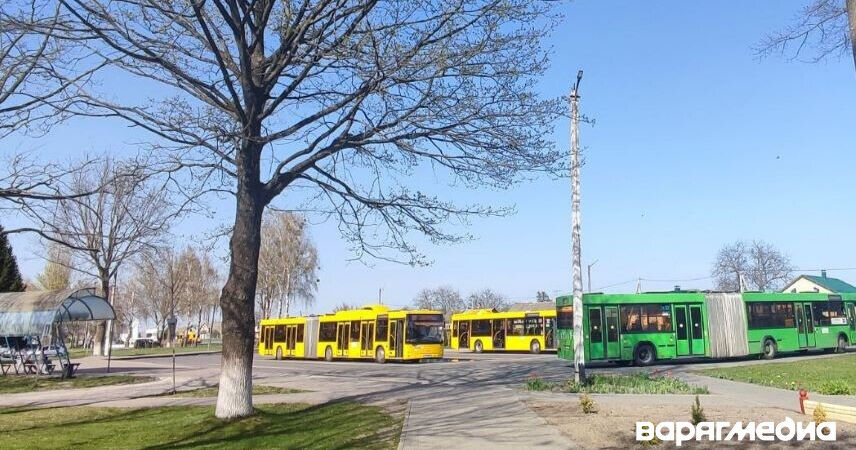 Как будут ходить автобусы в Пинске в день республиканского субботника 25 октября