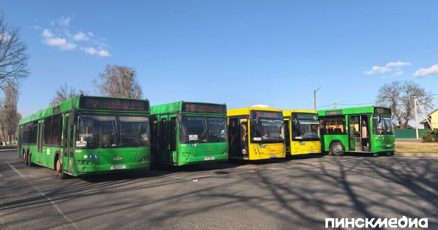 В Пинске новые тарифы на проезд в автобусе: сколько будет стоить талон и проездной