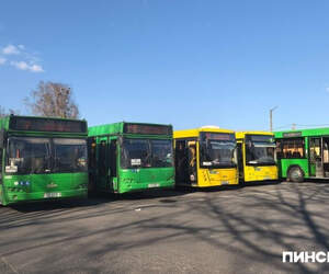 В Пинске новые тарифы на проезд в автобусе: сколько будет стоить талон и проездной