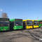 В Пинске новые тарифы на проезд в автобусе: сколько будет стоить талон и проездной