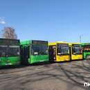 В Пинске новые тарифы на проезд в автобусе: сколько будет стоить талон и проездной