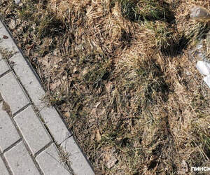 Жители Пинска жалуются на битое стекло на тротуарах в Жемчужном