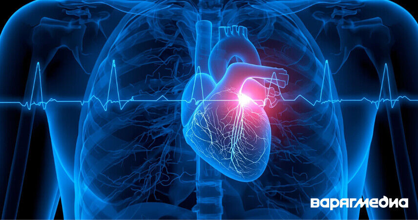 Факторы риска - на контроле: как сохранить сердце и сосуды здоровыми?