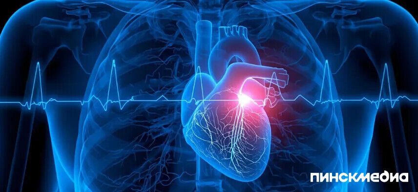 Более 20 тысяч белорусских десятиклассников научат оказывать первую помощь: стартует проект «Запусти сердце»