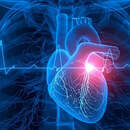 Более 20 тысяч белорусских десятиклассников научат оказывать первую помощь: стартует проект «Запусти сердце»