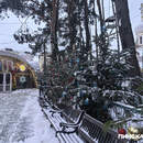 Крещенский сочельник-2026 отмечают 18 января: история и традиции