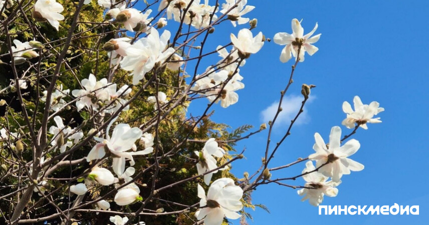 Март-2026 в Беларуси стал рекордно теплым и аномально сухим за всю историю наблюдений