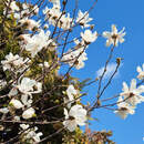 Март-2026 в Беларуси стал рекордно теплым и аномально сухим за всю историю наблюдений