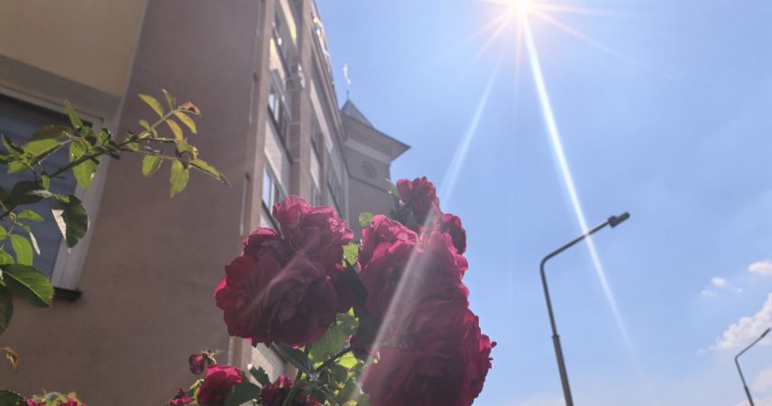 39.6°C: в Пинске побит абсолютный температурный рекорд по Беларуси