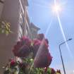 39.6°C: в Пинске побит абсолютный температурный рекорд по Беларуси