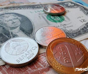 В Беларуси сохраняется устойчивая тенденция к девалютизации экономики