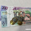 Житель Пинска присвоил забытый в магазине кошелек и поплатился свободой