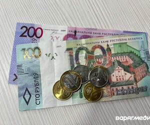 Житель Пинска присвоил забытый в магазине кошелек и поплатился свободой