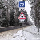 В Беларуси отмечен существенный рост ДТП с дикими животными в 2025 году: где и когда они чаще происходят?