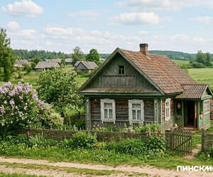 Как купить дом за 45 рублей: 248 домов продали по цене базовой величины