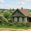 Как купить дом за 45 рублей: 248 домов продали по цене базовой величины