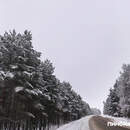 В Пинском районе 2 февраля работает датчик контроля скорости