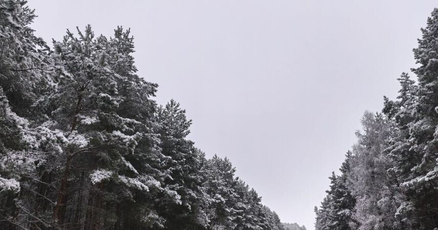 В Пинском районе 2 февраля работает датчик контроля скорости