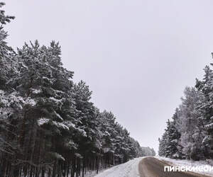 В Пинском районе 2 февраля работает датчик контроля скорости