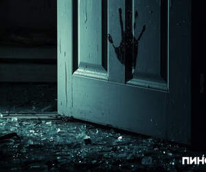 В Брестской области почти на четверть снизилось число преступлений на почве домашнего насилия