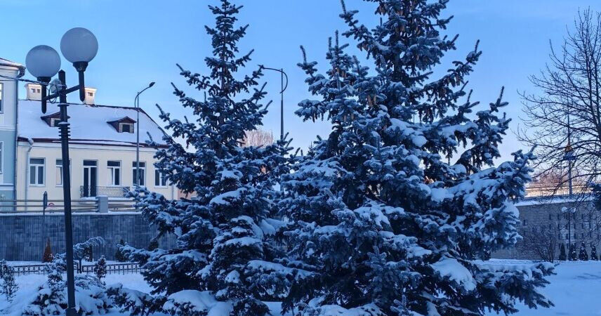 Теплее к выходным и снова холодно: какой будет погода 7-9 февраля в Беларуси