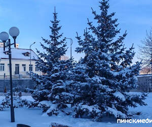 Теплее к выходным и снова холодно: какой будет погода 7-9 февраля в Беларуси